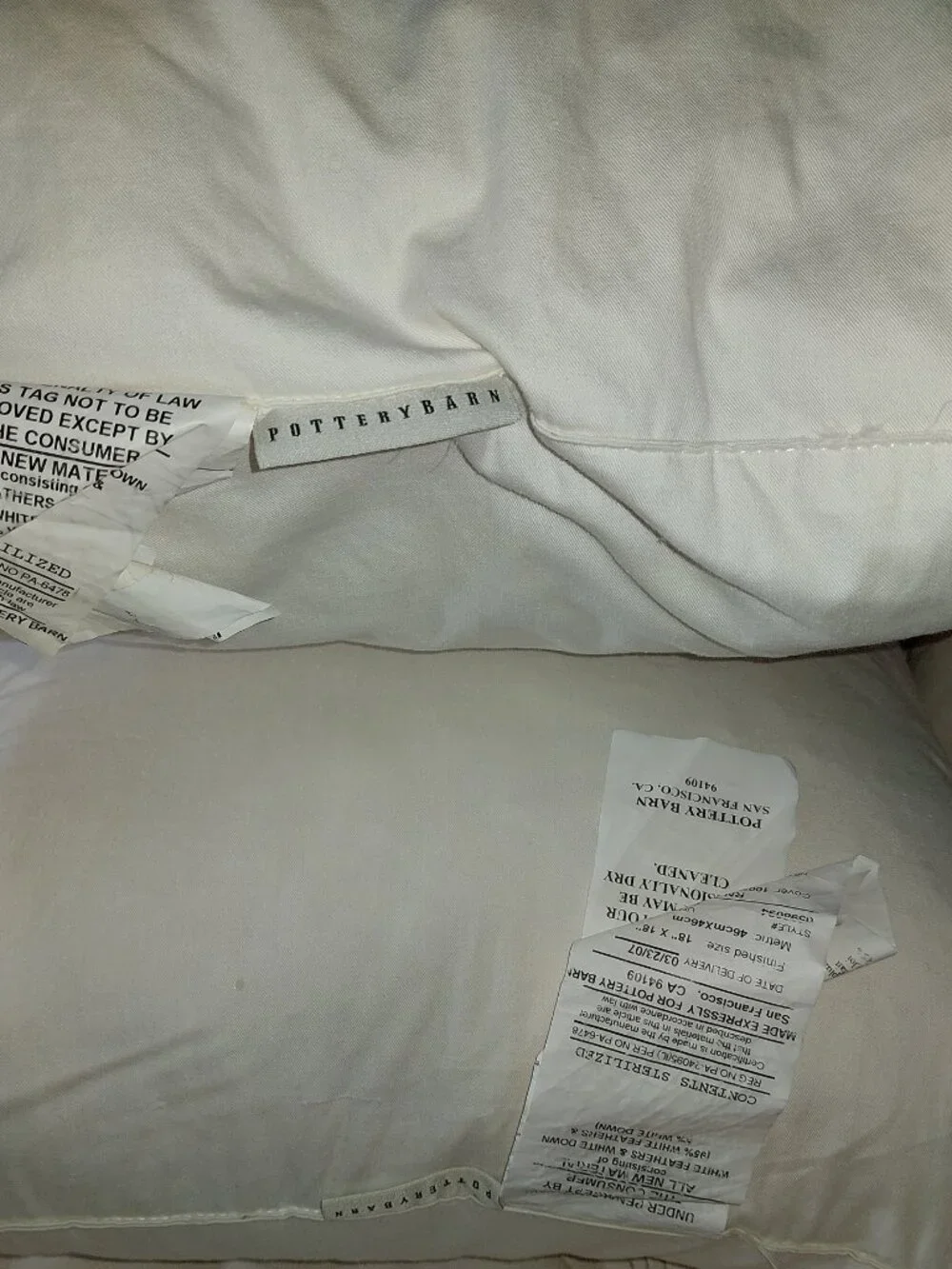 POTTERY BARN Pillows with Saffron Printed Paisley Covers – Set of 2